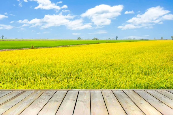 Holzdeck mit schöner Farbe Reis in blauem Himmel und weißen Wolken abgelegt. — Stockfoto