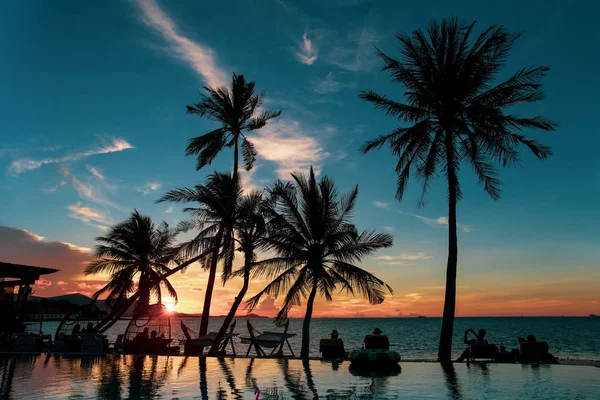 Silhueta Palmeira Grupo Turistas Olhando Para Pôr Sol Sobre Mar — Fotografia de Stock
