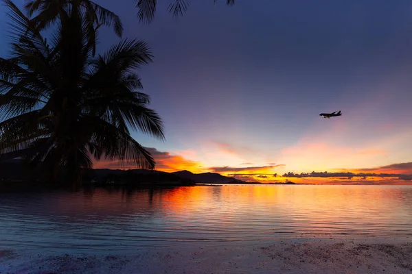 Silueta Cocotero Palmera Avión Volando Sobre Mar Con Puesta Sol — Foto de Stock