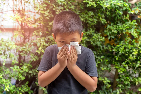Asian boy blow his nose into with tissue,  Flu season, Hay fever