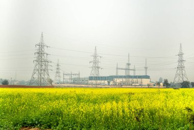 Yüksek gerilim elektrik direği ile hardal çiçeği ile elektrik istasyonu