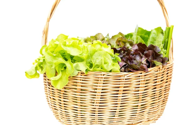 篮子与新鲜的有机蔬菜从花园农场查出在白色背景 — 图库照片