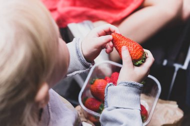 Yemek için hazır taze kırmızı çilek tutan çocuk eli.