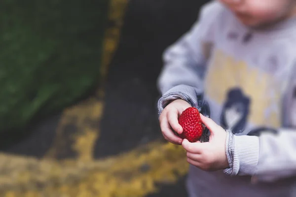 Mano del niño sosteniendo fresa roja fresca lista para comer . — Foto de Stock