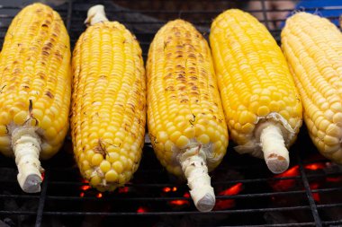 Kömür ile sıcak sobaya koçan üzerinde ızgara mısır.