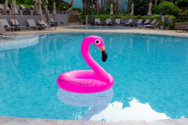 Inflatable pink flamingo in swimming pool. Summer vacation.