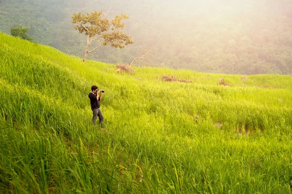 Asia man photographer traveler take a photo of mountain rice field.