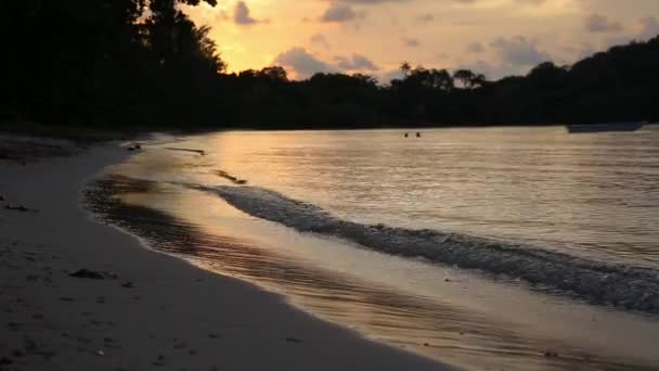 Západ Slunce Pláži Párem Plavání Rozmazaném Pozadí — Stock video