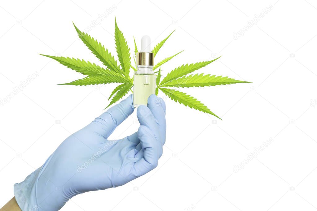 CBD Hemp oil hand in blue medical gloves holding droplet of Cannabis oil isolated in cliping path