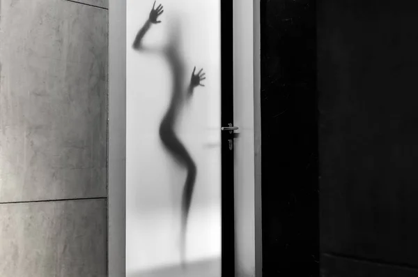Sexy Und Schone Frau Korperform In Silhouette Bein Erwachsene Stock Photo 255033668