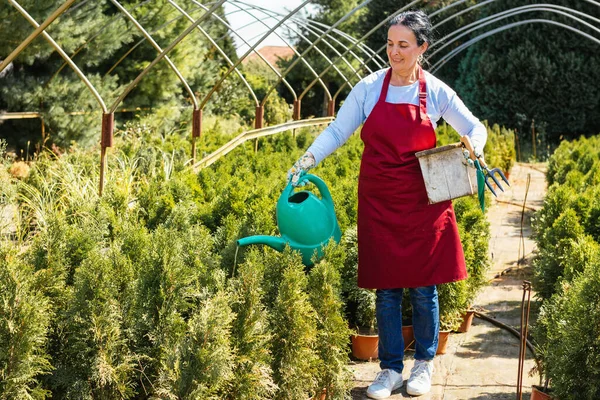 Bahçıvanlık Bitki Yetiştirme Tesisinde Kadın Bahçıvan Bitkileri Sulama Muayene Ediyor Telifsiz Stok Fotoğraflar