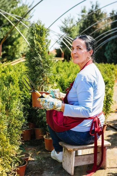 Jardinería Portarit Una Mujer Jardinero Trabajando Vivero Plantas Imagen de stock