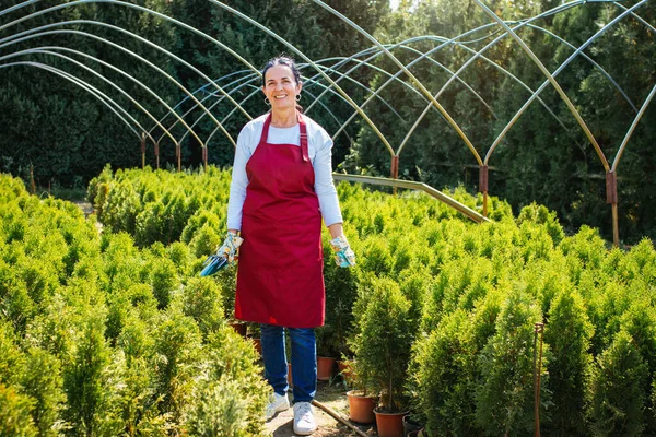 Bahçıvanlık Güzel Son Sınıf Öğrencisi Bir Kadın Çiçek Bahçesinde Duruyor Stok Fotoğraf