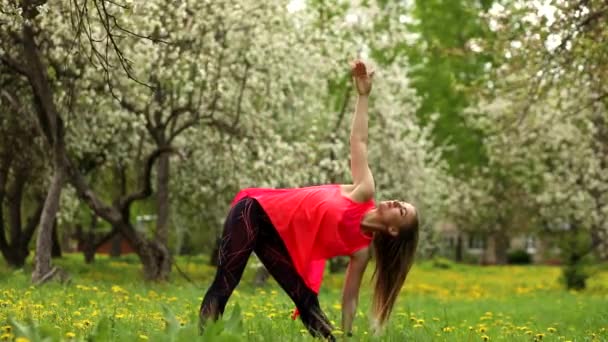 美丽的女人正在春天的公园里伸展身体 练习瑜伽 乌玛是放松和集中的 在背景上开花的树 春天的季节 女孩穿着橙色上衣和深色紧身衣 — 图库视频影像