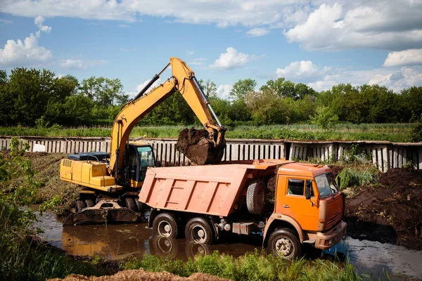 Excavadora Grande Carga Tierra Tierra Parte Trasera Del Camión Usando Imagen De Stock