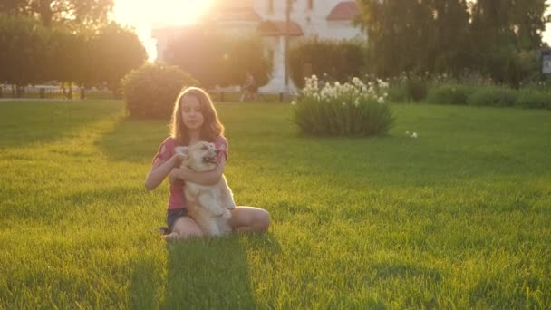 Adolescente chica es acariciar perro corgi, sentado en el césped verde al aire libre en verano . — Vídeo de stock