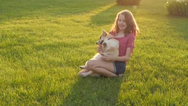 Il cane è l'infanzia felice e spensierata nei raggi luminosi del sole al tramonto — Video Stock