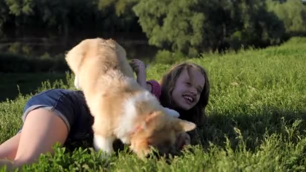 Adolescente chica acostada en un césped verde jugando con un lindo perro divertido — Vídeo de stock