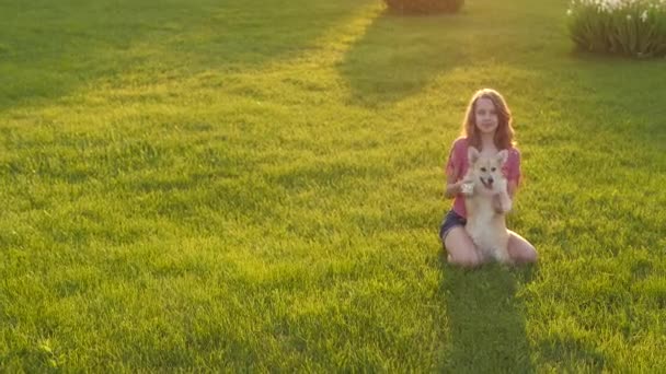 Adolescente chica es sentado con un lindo perrito galés corgi pembroke en el césped — Vídeo de stock