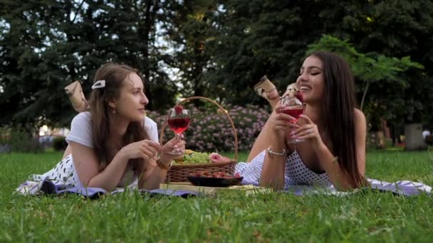 Duas Amigas Lésbicas Bebem Cocktail Num Piquenique Parque Namoradas Assopram — Vídeo de Stock