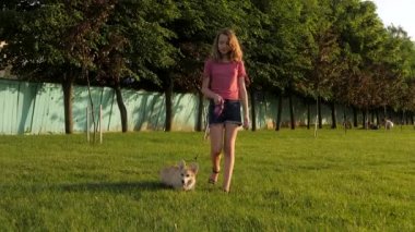 Genç kız yaz aylarında açık havada tasmalı Galli Corgi Pembroke köpeğine liderlik ediyor. Evcil hayvanla dışarıda vakit geçirmek, köpekle eğlenmek.. 