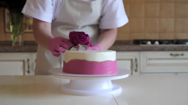 ペストリーシェフは新鮮な牡丹の花で誕生日ケーキを飾ります ピンクの手袋のクローズアップで手 ケーキはキッチンの白いスタンドに立っています — ストック動画