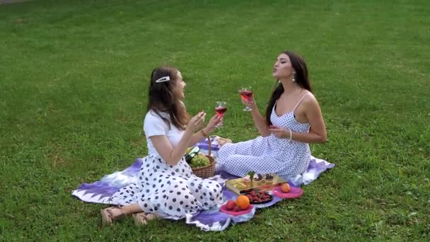 Dvě atraktivní přítelkyně pijí červené víno v přírodě. Ženy na pikniku slaví se Sangrií. Žena s ovocem a různými nápoji na zeleném trávníku.