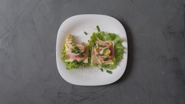 白い皿の上の2つのカラフルなおいしいサンドイッチは、平和によって平和を食べている. — ストック動画