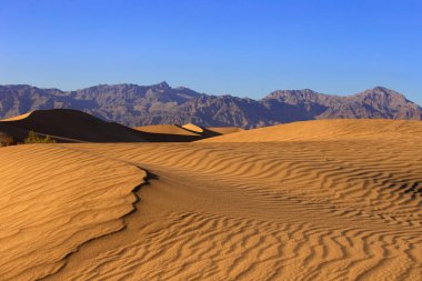 Death Valley California'da bir çöl manzarasında kum tepeleri. Geniş çorak arazi küresel ısınma ve iklim değişikliği sonucu kuraklık nedeniyle kuru ve kurak. 