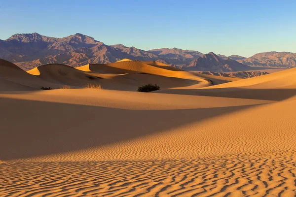 Sand dunes in a desert landscape in Death Valley California.  The vast barren land is dry and arid due to droughts result of global warming and climate change.