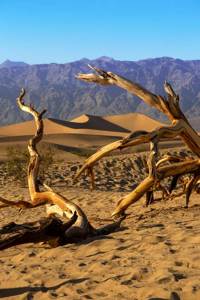 Zandduinen Een Woestijn Landschap Death Valley California Het Uitgestrekte Kale — Stockfoto