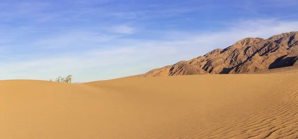 Death Valley California Bir Çöl Manzarasında Kum Tepeleri Geniş Çorak — Stok fotoğraf