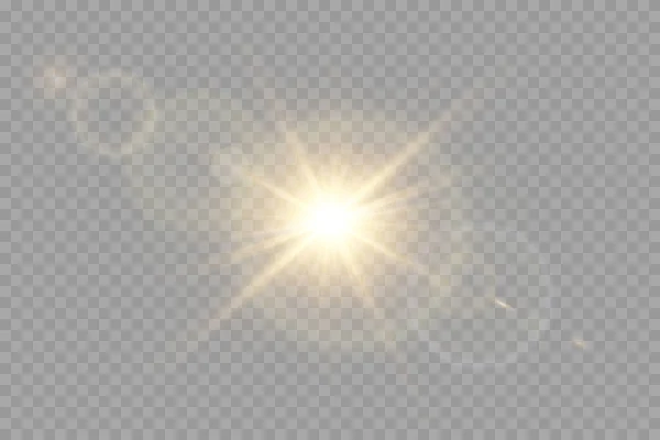 矢量透明太阳光特殊透镜闪光效果 前太阳透镜闪光 在明亮的光线下矢量模糊不清 — 图库矢量图片