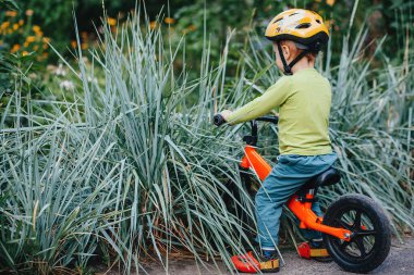 the child on his bicycle drove into the prickly bushes.