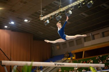 Kiev, Ukrayna, 04.16.2016: 14. Uluslararası Jimnastik Turnuvası 