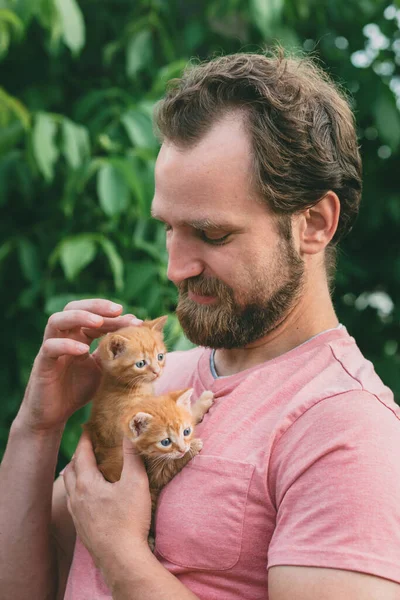 Man drukt twee rode kittens op zijn borst en streelt ze — Stockfoto