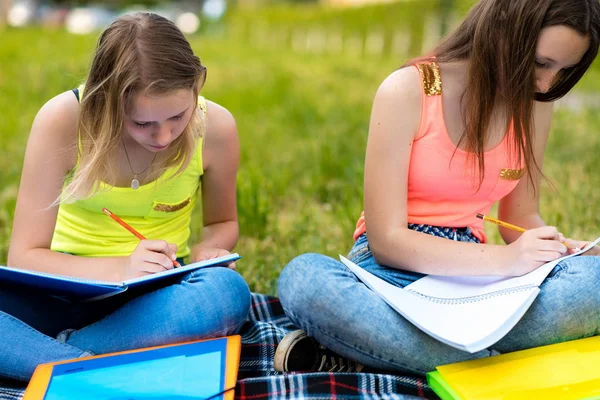 To jenter på skolen. Sommer i naturen. Han hviler etter instituttet. De skriver notater i en notatbok. Begrepet skoleklasser i naturen. Følelseskonsentrasjon . – stockfoto