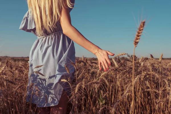 Gadis pirang dengan gaun musim panas. Musim panas cerah hari ladang gandum. Tangan pergi ke kejauhan menyentuh kuman gandum. Konsep dari alam murni dan tidak tersentuh — Stok Foto
