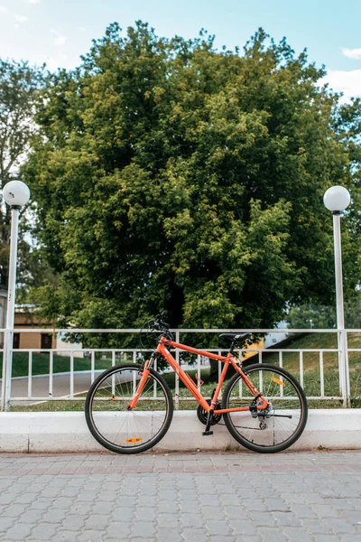 자전거 스탠드는 도시에서 여름에 공원에서 울타리 근처. 근처 램프와 기둥. 푸른 나무와 잔디의 배경. — 스톡 사진