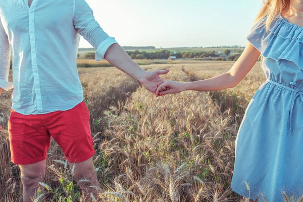 Um tipo com uma rapariga no Verão vai a um campo de trigo, de mãos dadas. Verão de close-up no campo. O conceito de relacionamentos felizes e amor forte no casamento . — Fotografia de Stock