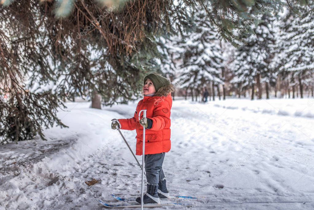 Little boy 3-5 years old, happy standing on a skis. In a warm hat and jacket. The first steps in the winter forest. A strong, brave and confident child. Free space for text. Looks at the trees.