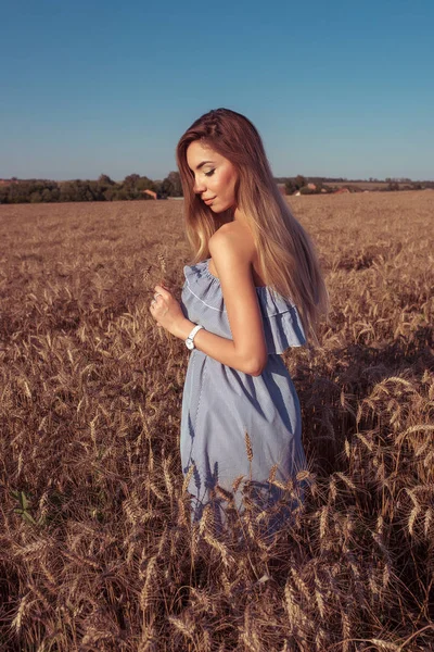 Girl in a wheat field in summer in a blue dress and wheat in the hand of ears of corn. A woman walks across the field, long hair casual makeup. Happy enjoying a holiday in the countryside.