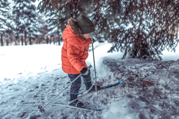 Un garçon de 3 à 5 ans monte et marche seul sur des skis jouets. Dérives de forêt hivernale et dérive de bois sur le fond. Les premiers pas dans le sport et le mode de vie actif de l'enfant. Espace libre pour le texte . — Photo