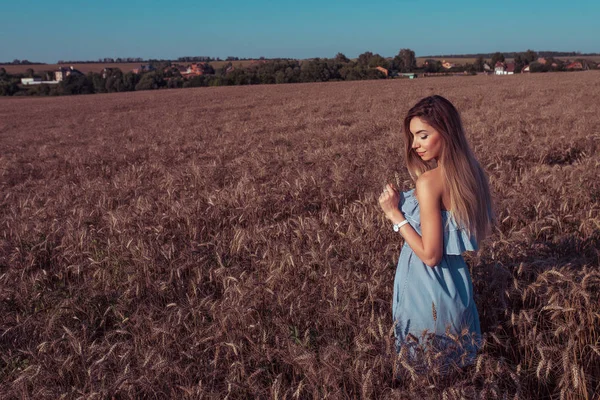 Girl Dress Summer Field Hands Ears Wheat Free Space Text — Stock Photo, Image