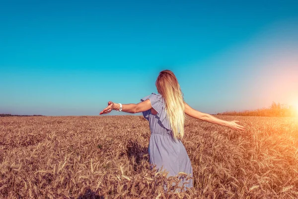 Uma menina em um vestido, de pé no campo de trigo no verão, braços estendidos para o lado, a fazenda e espiguetas de trigo repousam sobre a natureza . — Fotografia de Stock