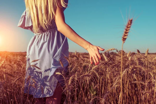 Seorang gadis berpakaian, berdiri di musim panas di ladang gandum, berjalan di alam, tangan menyentuh spikelet gandum, ruang bebas untuk teks, seorang wanita beristirahat di alam, pertanian dan tangkai gandum . — Stok Foto