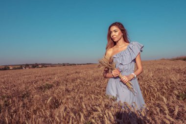 Mavi bir elbise güzel bir kadında kulakları buğday elinde tutar. Şehir dışında yaz aylarında temiz havada rahatlatıcıdır. Boş alan. Metin için yer.