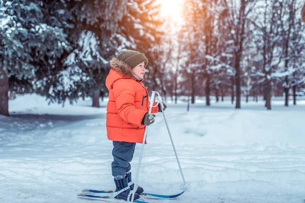3-5 éves kisfiú park télen sétál a gyermek síléc. Teljes növekedés, első lépések, a sport, szabad hely a szöveg található. Képzés a fiatal gyermekek a szabadban, kellemes, a hétvégén. — Stock Fotó