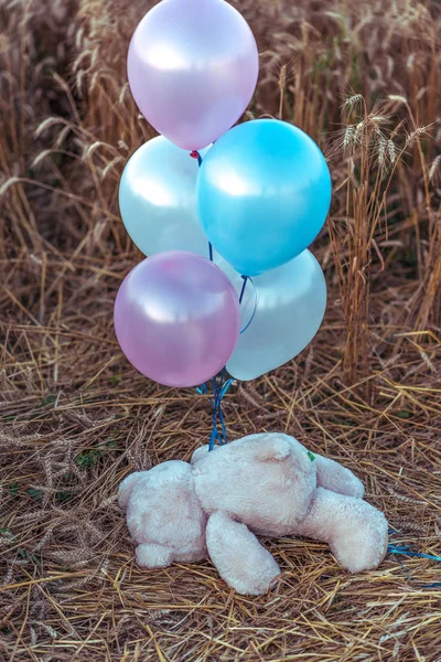 Urso de pelúcia de brinquedo das crianças, encontra-se no verão em um campo de trigo, com balões multicoloridos. O conceito de uma festa, jogos divertidos e recreação ao ar livre, palhaçadas bêbadas de adolescentes . — Fotografia de Stock