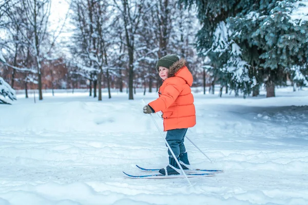 En liten pojke på 3-6 år gammal, på vintern i city park, rider på barnens skidor. Ledigt utrymme för text. De första stegen i barnens sport, en hälsosam livsstil i helgen på resort. — Stockfoto